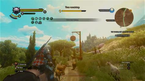 witcher 3 tourney race